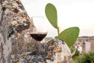 Wine Training